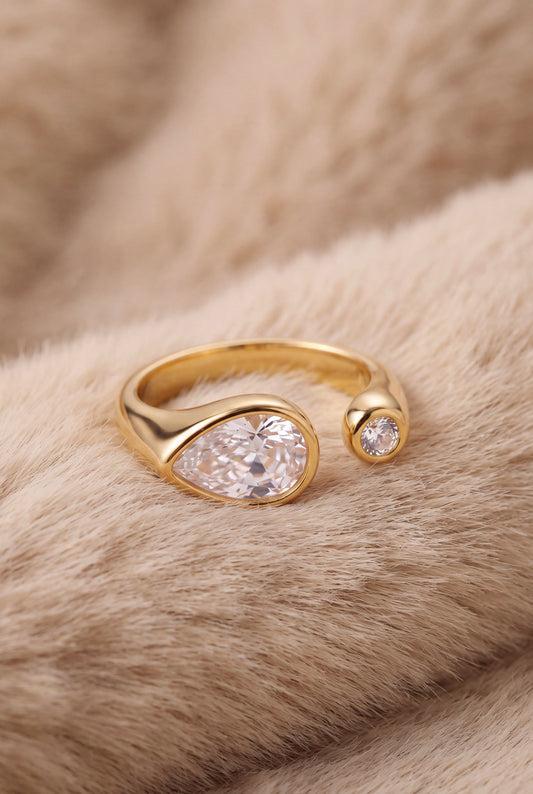 The Dualist Ring